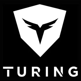 turing brand logo for turing.ai