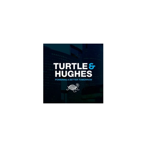 turtle brand logo for turtle.com