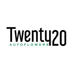 twenty20mendocino brand logo for twenty20mendocino.com