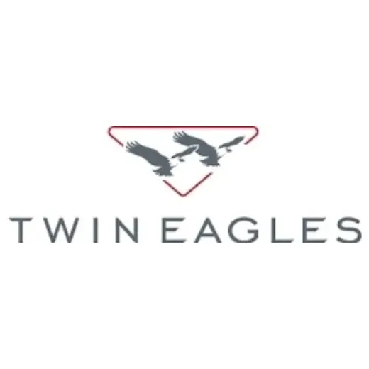 twineaglesgrills brand logo for twineaglesgrills.com