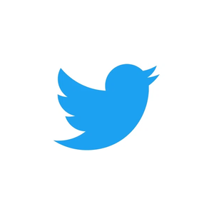 twitter brand logo for twitter.com