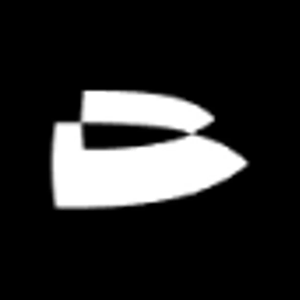 twoshot brand logo for twoshot.app