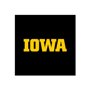 University of Iowa Distance and Online Education brand logo for distance.uiowa.edu