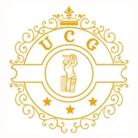 usacricketgear brand logo for usacricketgear.com