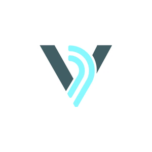 v2mom brand logo for v2mom.io