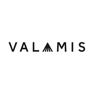 valamis brand logo for valamis.com