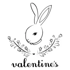 valentineskids brand logo for valentineskids.com