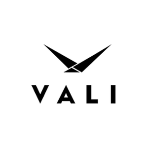 valiup brand logo for valiup.com