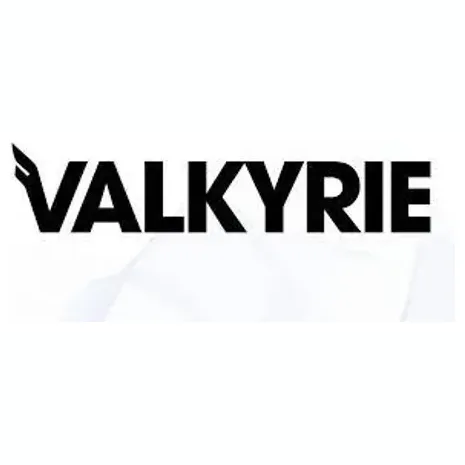 valkyrieinvest brand logo for valkyrieinvest.com