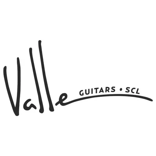 valleguitars brand logo for valleguitars.com