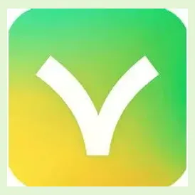valoraapp brand logo for valoraapp.com