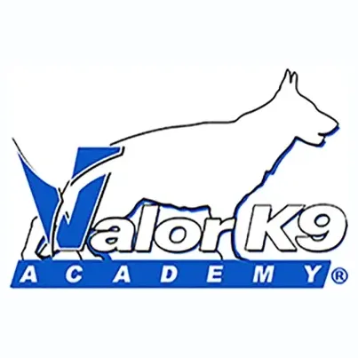 valork9academy brand logo for valork9academy.com