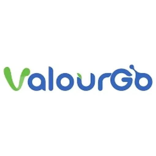 valourgo brand logo for valourgo.com