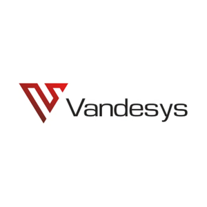 vandesys brand logo for vandesys.com