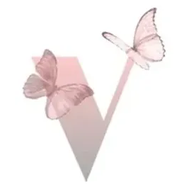 vanessalashesnails brand logo for vanessalashesnails.com