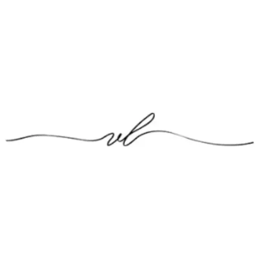vanessalianne brand logo for vanessalianne.com