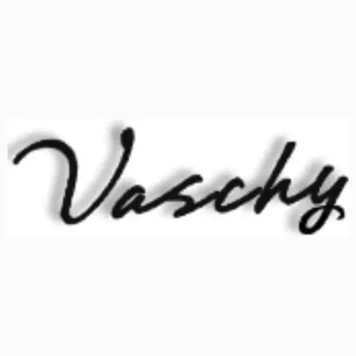 vaschy brand logo for vaschy.com
