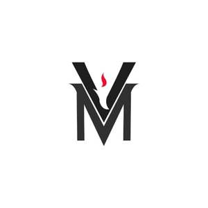 vasumittal brand logo for vasumittal.com