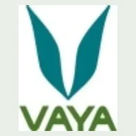 Vaya brand logo for vayalife.com