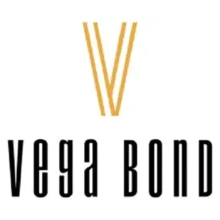 Vega Foam Insulation brand logo for vbinsulation.com