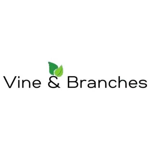 vbranches brand logo for vbranches.com