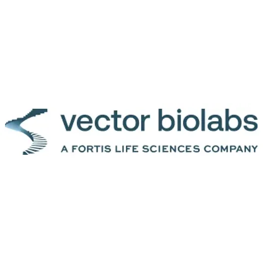 vectorbiolabs brand logo for vectorbiolabs.com
