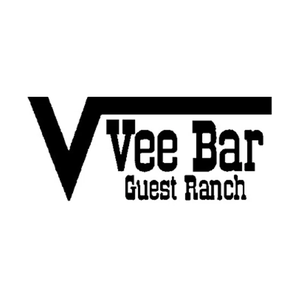 veebar brand logo for veebar.com