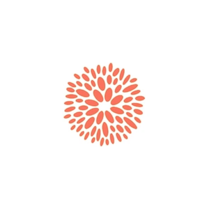 vegasblowdrybar brand logo for vegasblowdrybar.com