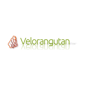 velorangutan brand logo for velorangutan.com