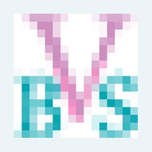 Venetian Bead Shop brand logo for venetianbeadshop.com