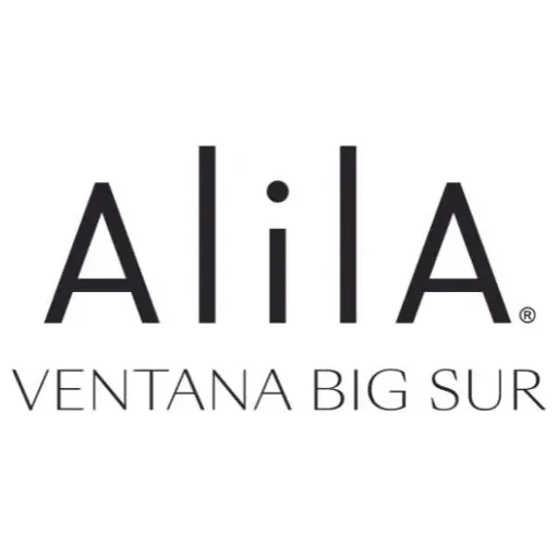 ventanabigsur brand logo for ventanabigsur.com