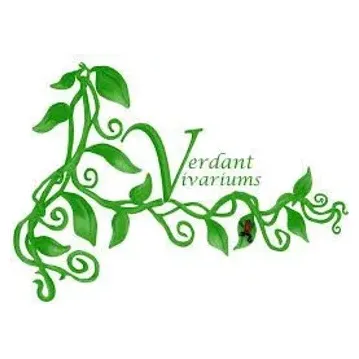 verdantvivariums brand logo for verdantvivariums.com
