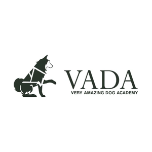 veryamazingdogacademy brand logo for veryamazingdogacademy.com