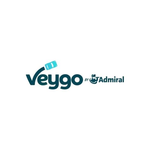 Veygo brand logo for veygo.com