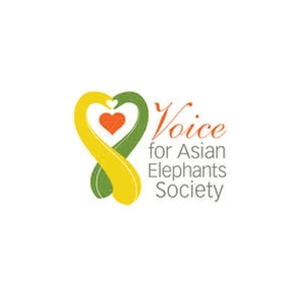vfaes brand logo for vfaes.org