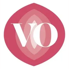 vibesonly brand logo for vibesonly.com