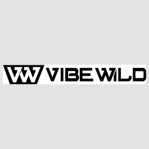 vibewild brand logo for vibewild.com