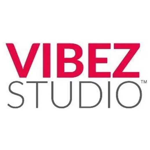 vibezstudio brand logo for vibezstudio.com