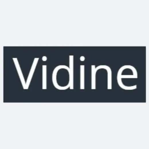 vidine brand logo for vidine.net