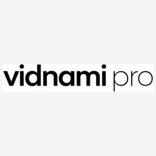 vidnamipro brand logo for vidnamipro.com