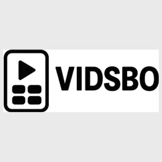 vidsbo brand logo for vidsbo.com
