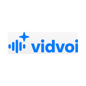 vidvoi brand logo for vidvoi.com