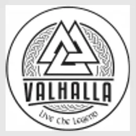 vikingbeardcare brand logo for vikingbeardcare.com