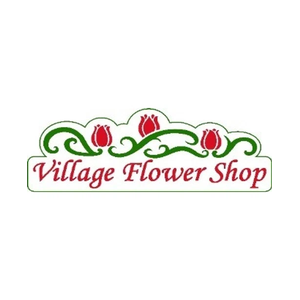 villageflowershopplainfield brand logo for villageflowershopplainfield.com