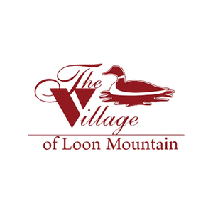 villageofloon brand logo for villageofloon.com