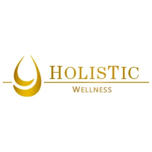 villagesholistic brand logo for villagesholistic.com