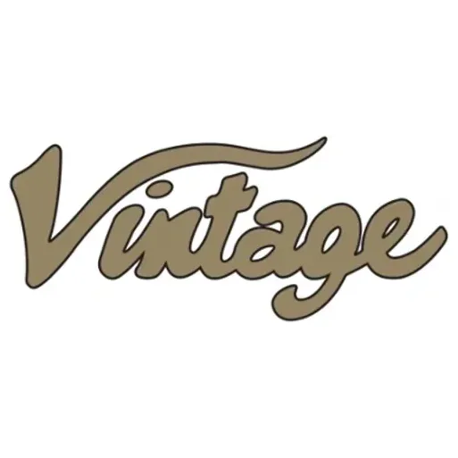 vintageguitarsus brand logo for vintageguitarsus.com