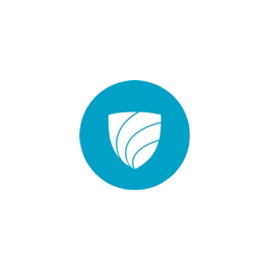 vipole brand logo for vipole.com