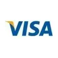 Visa brand logo for usa.visa.com