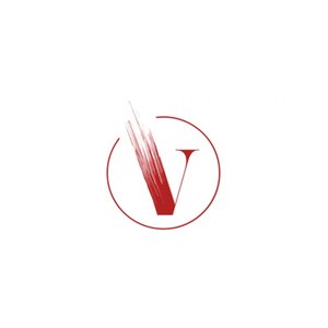 visageskin brand logo for visageskin.com